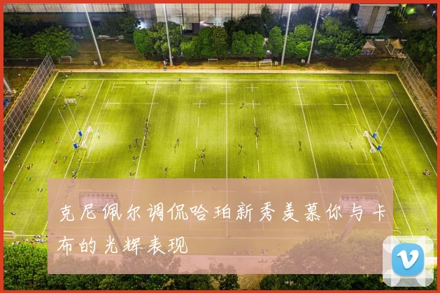 克尼佩尔调侃哈珀新秀羡慕你与卡布的光辉表现
