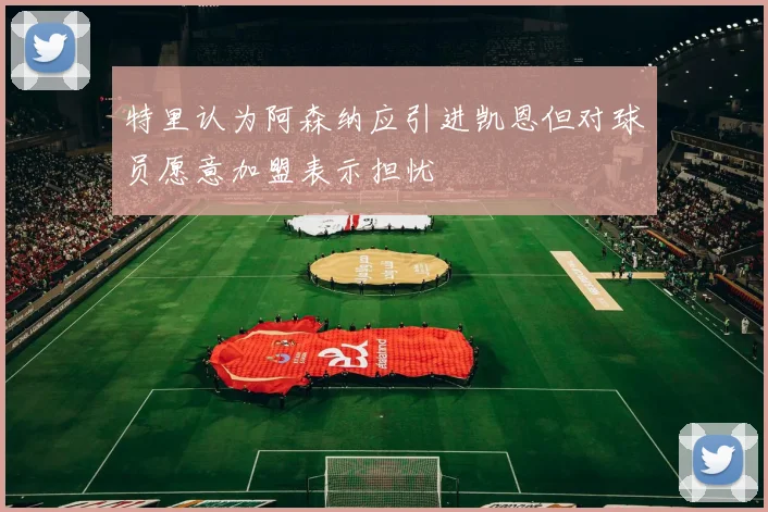 特里认为阿森纳应引进凯恩但对球员愿意加盟表示担忧